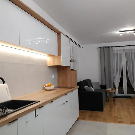 Nowy Apartament Plomykowka W Willi Sowiej Stronie Slaskie Exterior photo