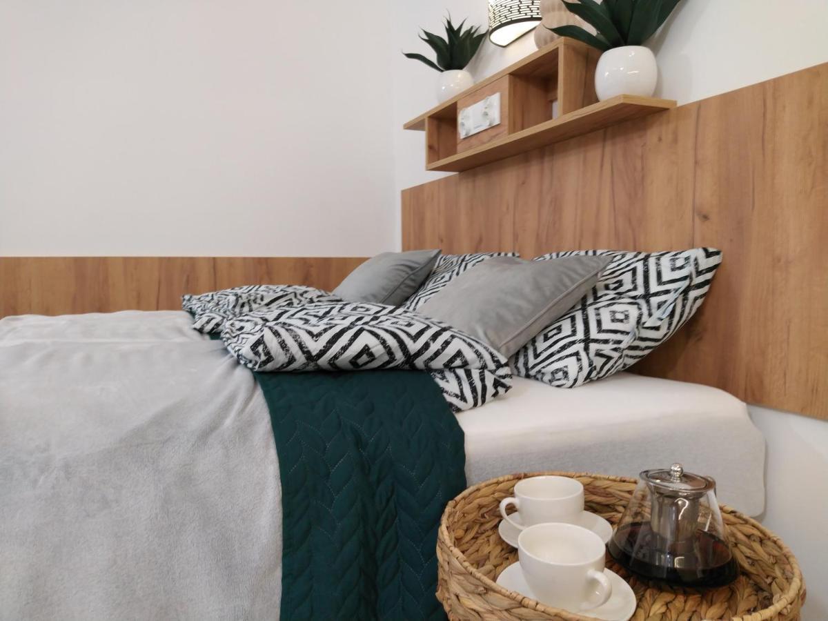 Apartment Nowy Plomykowka W Willi Sowiej Stronie Slaskie