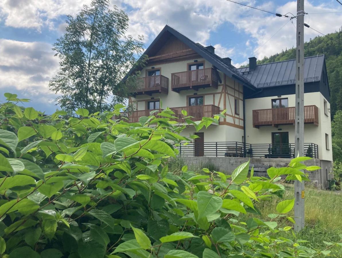 Apartment Nowy Plomykowka W Willi Sowiej Stronie Slaskie